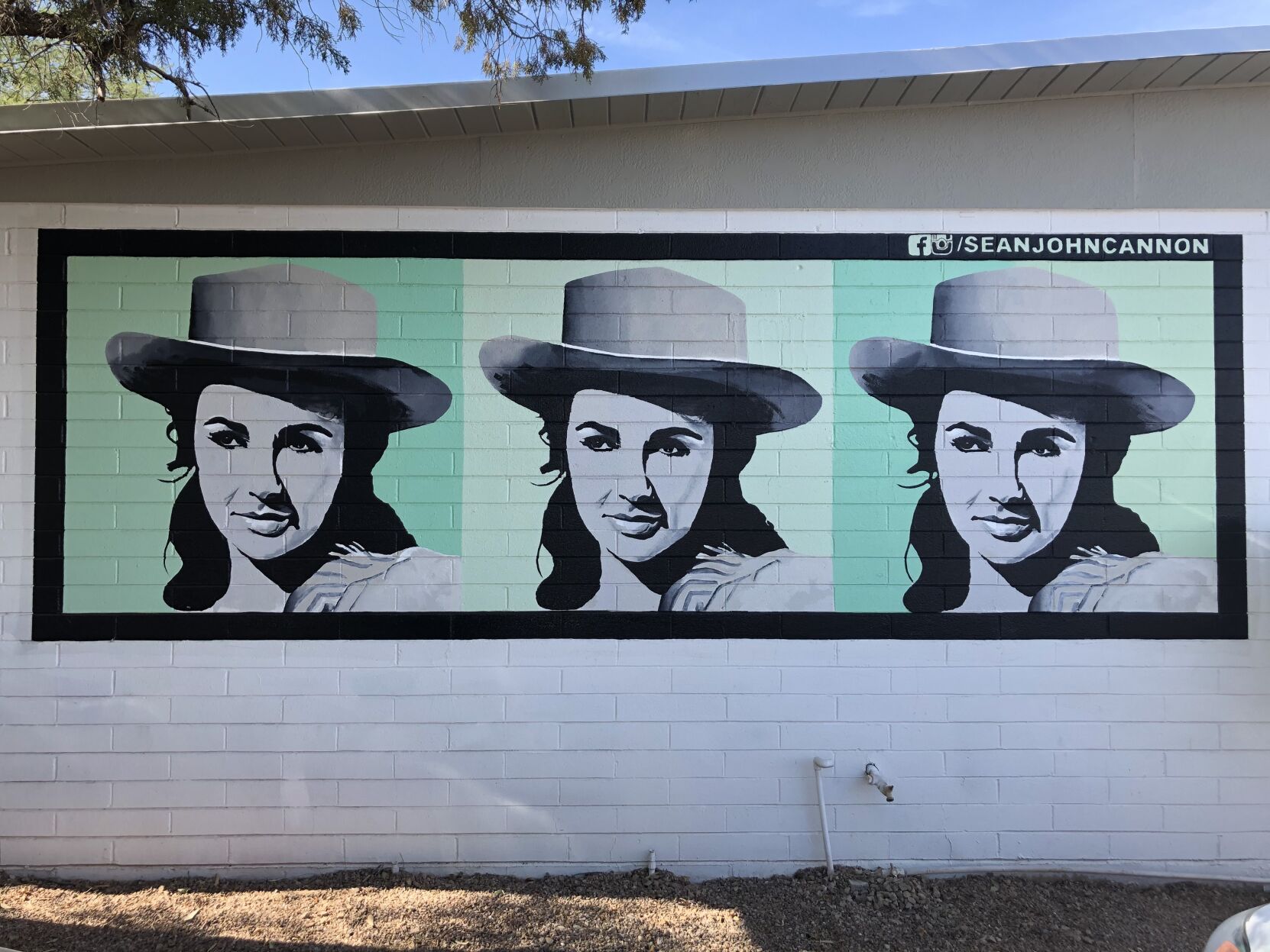 Elizabeth Taylor Mural by Sean John Cannon